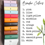 100 Envelope Challenge Binder-Customizable with mix-and-match colors