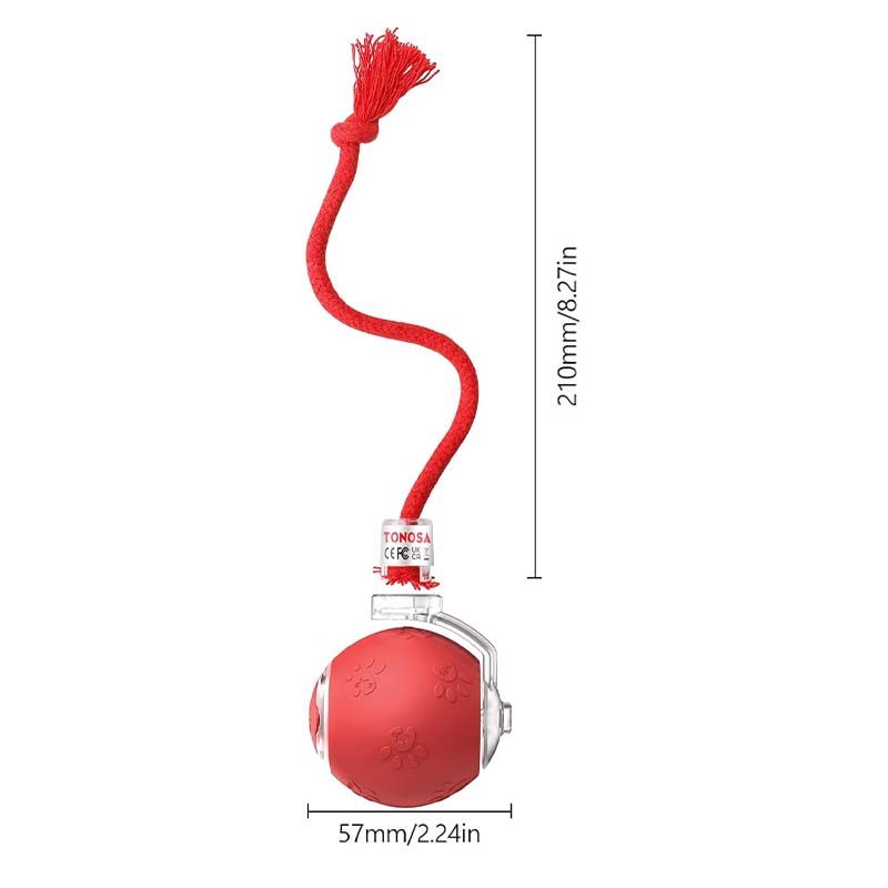 Interactive Rechargeable Ball Cat & Dog Toy