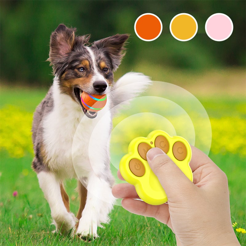 Interactive Dog Toys Dog Ball