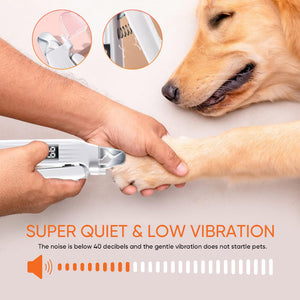 Nail Clipper With Integrated LED Light And Sharpener