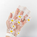 Translucent Daisy Socks, 5 pairs