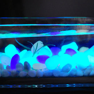 Glow In The Dark Rocks