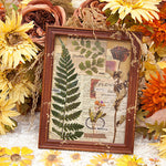 Dried Flowers Stickers Set