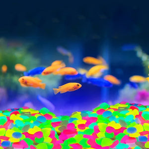 Glow In The Dark Rocks