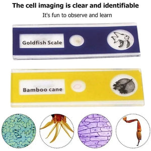 Kid's Portable Pocket Microscope With Adjustable Zoom 60-120x