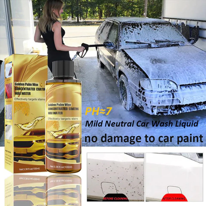 Golden Carnauba Car Wash Wax